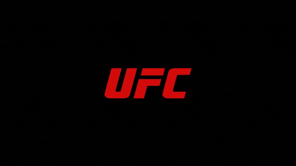 Apostas no UFC: Guia Completo para Apostar nas Lutas