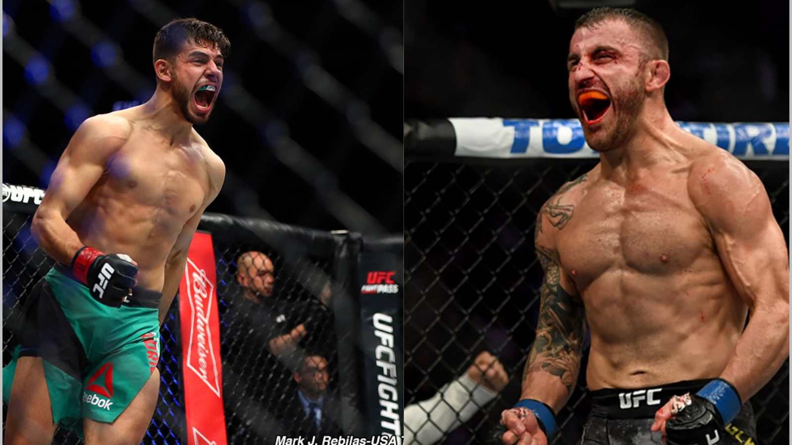 UFC 290: Alexander Volkanovski defende o cinturão dos penas contra Yair Rodríguez: comentários e recomendações para apostas esportivas