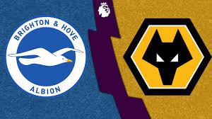 estatíticas-brighton-x-wolverhampton-wanderers